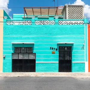  Hostal 62
